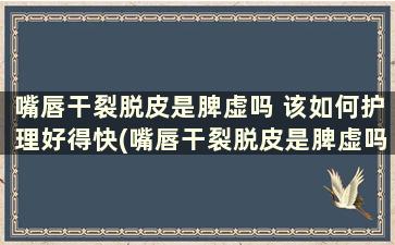 嘴唇干裂脱皮是脾虚吗 该如何护理好得快(嘴唇干裂脱皮是脾虚吗)